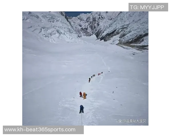 实时新闻上海攀岩队表现卓越最新攀岩个人能力排名前十揭晓